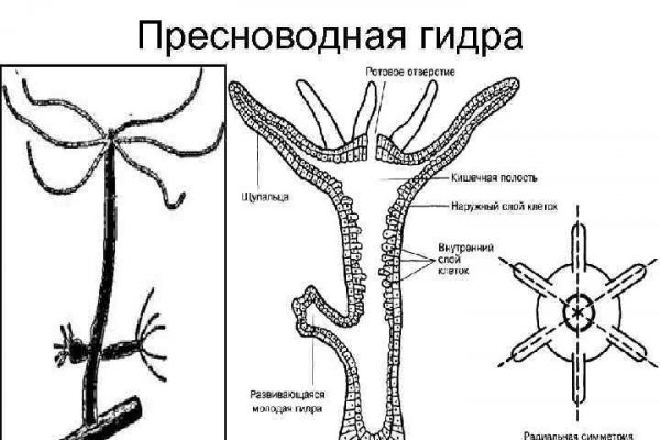 Блэкспрут конец